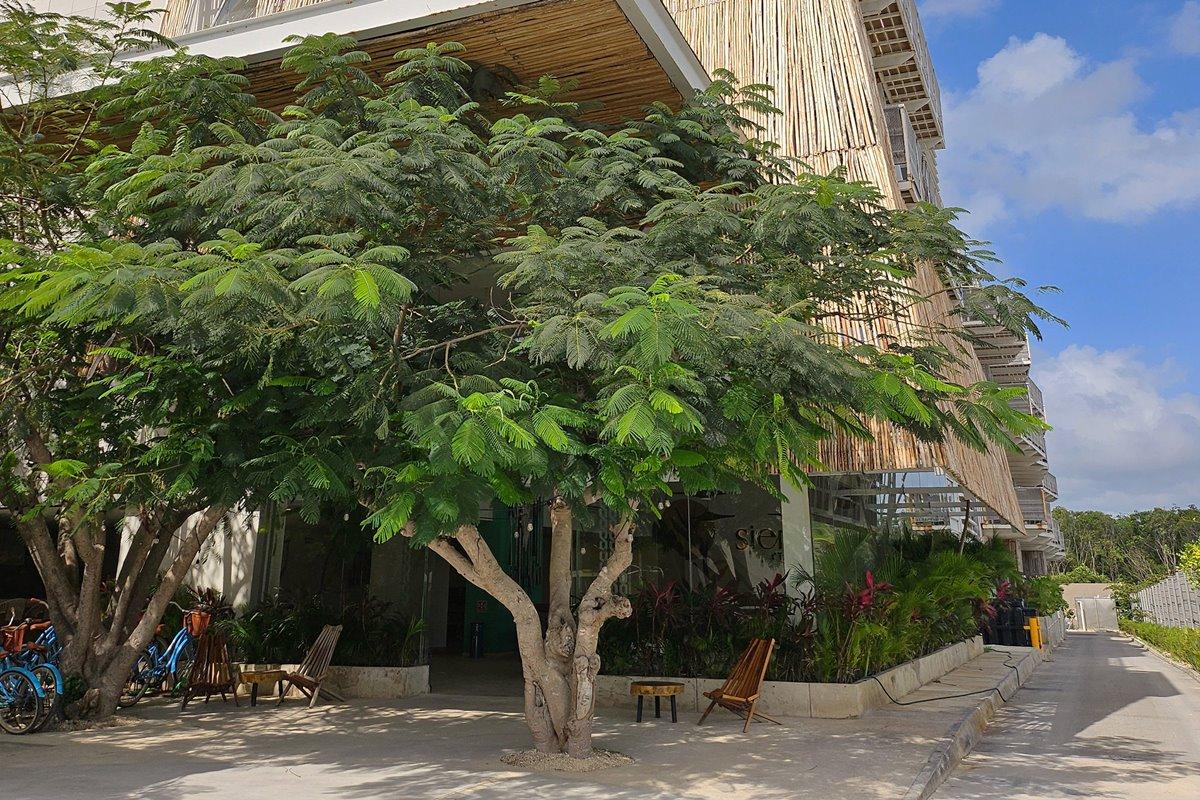Hotel Siente Tulum Exterior foto